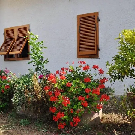 Charming House In + Garden Holiday home *