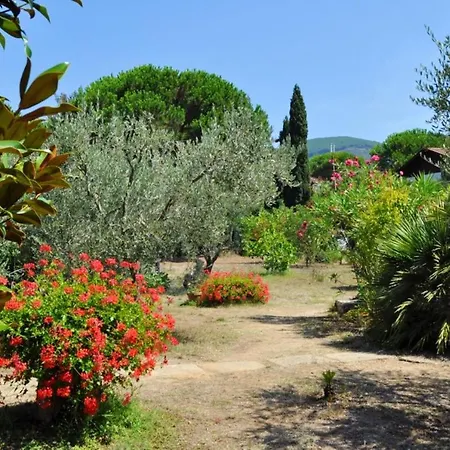 Holiday home Charming House In + Garden *