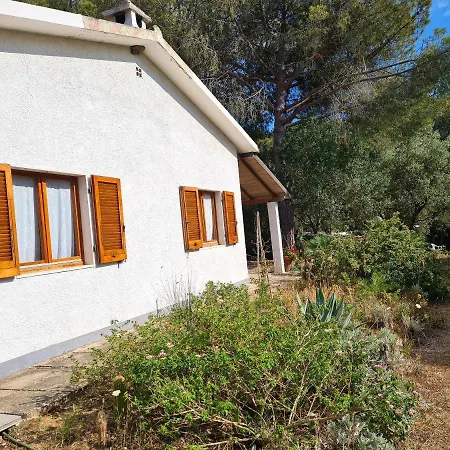 Charming House In + Garden