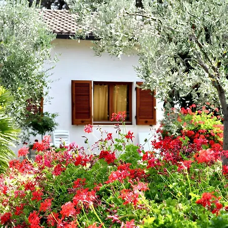 Holiday home Charming House In + Garden Lacona